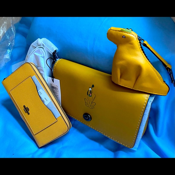 NWT Coach Disney X Pluto Dinky 4 set